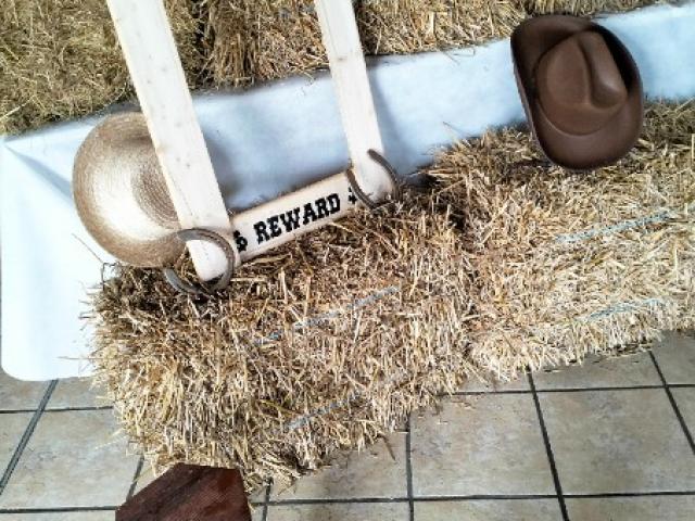 KIT ACCESSOIRES PHOTOBOOTH - Thème Western , Country, Champêtre